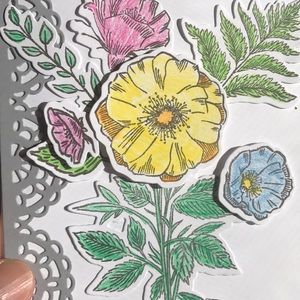 Meet your Posher, Jamie